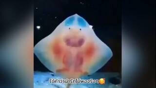 ดูเพลินๆไม่เบื่อเลย