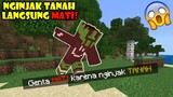 Aku Langsung MATI Kalo Menginjak Tanah di Minecraft !