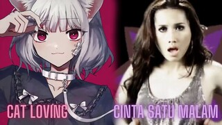Cat Loving X Cinta Satu Malam | Mashup of Kashii Moimi feat. Kafu X Melinda