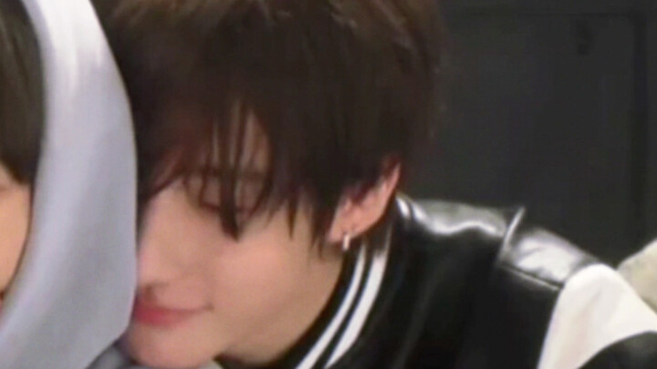 สุนัขพันธุ์ใหญ่ขี้อ้อนหนึ่งตัว