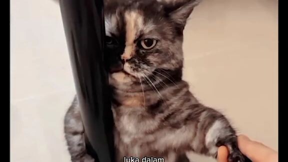aku tak bisa bisa bangkit lagi😔😔