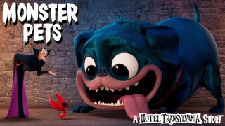 Monster Pets A Hotel Transylvania Short Film 2021 (Animation/Comedy)