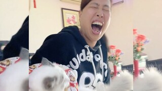 这猫TM是手榴弹吧？？？