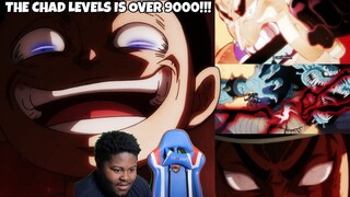 KAIDOS FLAMES BURN BUT GOATEN PASSION BURNS HOTTER ONE PIECE EPISODE 972 LIVE REACTION