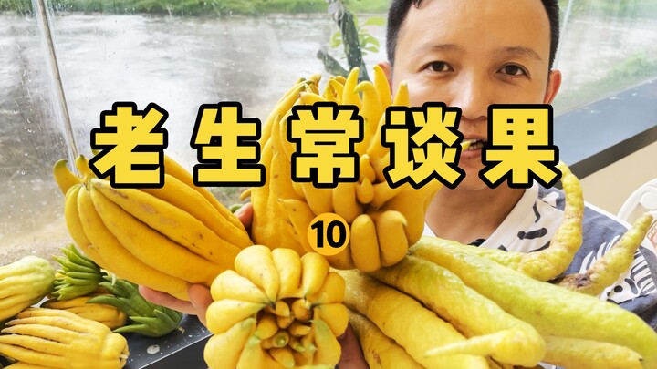 [Fruit Hunter x Hunter] Old-School Fruit 10