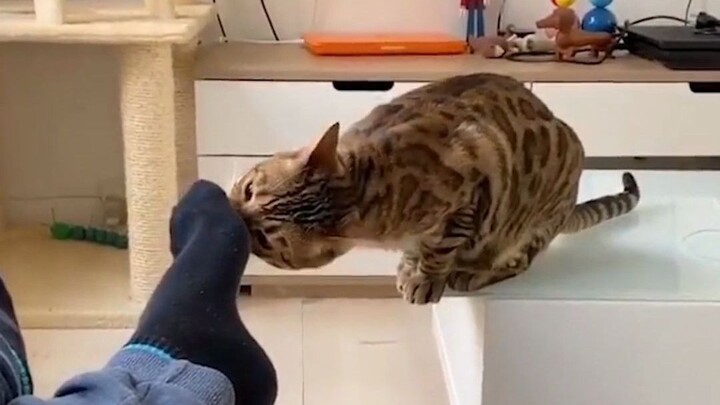 People with high emotional intelligence tend to have good luck too.