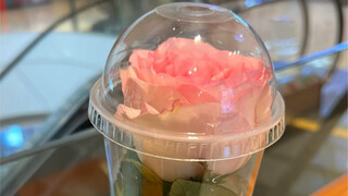 سعادة الفتيات بهذه البساطة فقط～