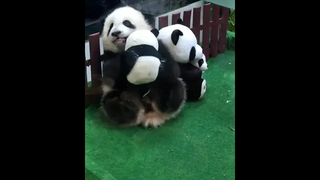 คนนอกไม่เท่าไหร่ คนใกล้ตัวที่ไว้ใจนี่สิ ทำกันได้ลง