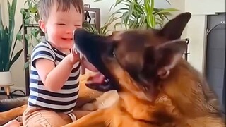 น่ารักสุดๆ! น้องหมาคอยดูแลเด็กน้อย!