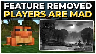 Players Are Mad MOJANG REMOVED THIS FEATURE! | The Minecraft Wild Update