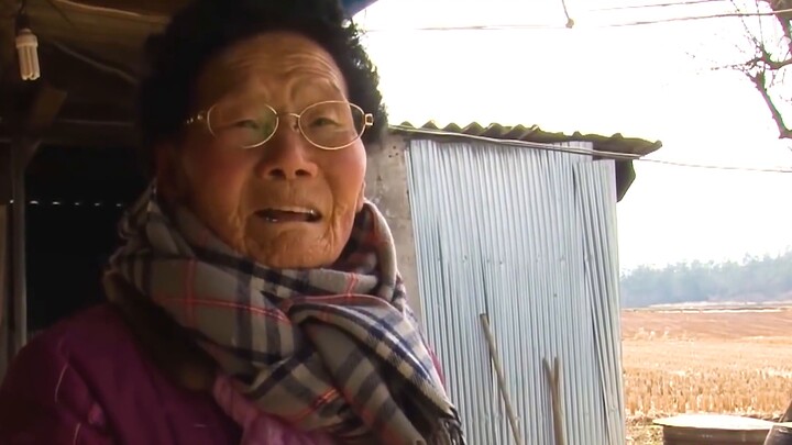 The 90-year-old owner goes to the hospital, and the dog waits for her to come back at the bus stop e