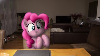 【قصص خيالية واقعية من MLP】الرجل والمهر 5