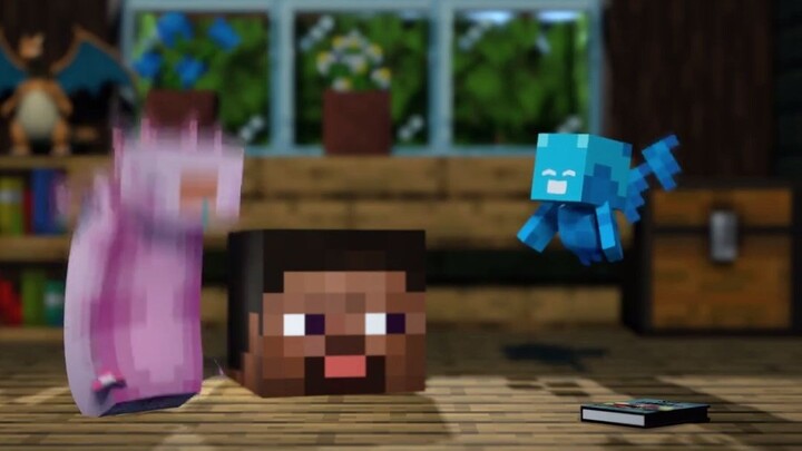 No Steve
