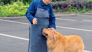 When the puppy met the grandma who loves it the most.