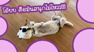 โลกของแสนดี ตอน คือมันสนุกไม่ไหว ใครไหวไปก่อนเลยยย!!!
