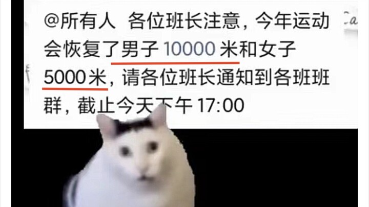 Unbelievable... Has Inner Mongolia really evolved to this point?! 😅
