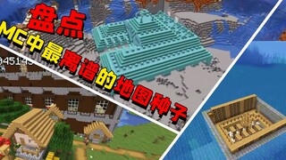 盘点MC最神奇的地图种子，村民和掠夺者生活在一起会发生什么？