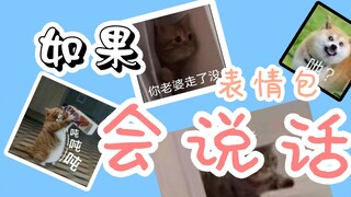 【如果表情包会说话】第一弹：其实大脑一片空白