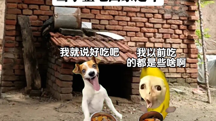 当小金毛回家过年