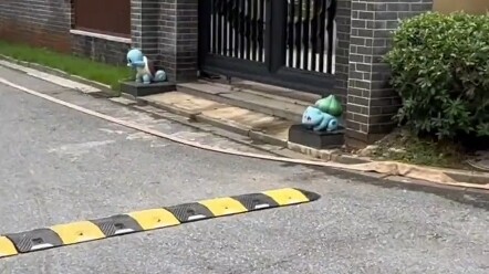 Di rumah siapa yang menggunakan kura-kura Zishui sebagai penjaga pintu?
