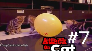 รวมพลแก๊งค์แมวฮ่า Attack on Cat ! 8 / ตอน ลูกโป่ง WTF BOOM!! พากย์นรก