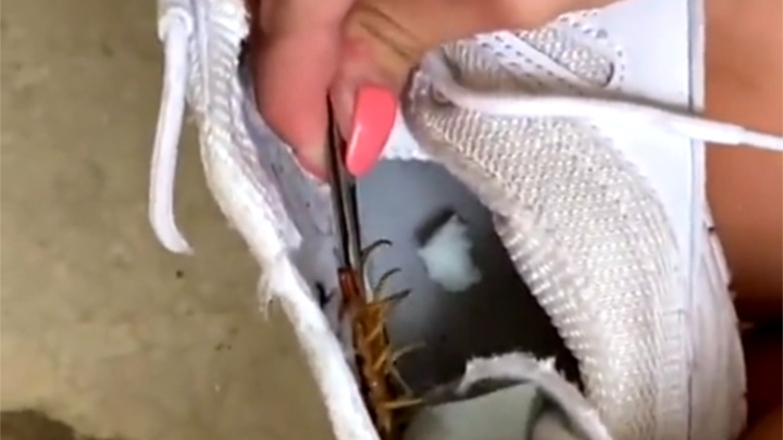 Daily Life in Australia