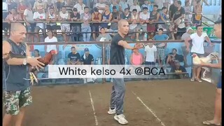 June 24 @BCA white kelso cross(4xwinner) unscrath