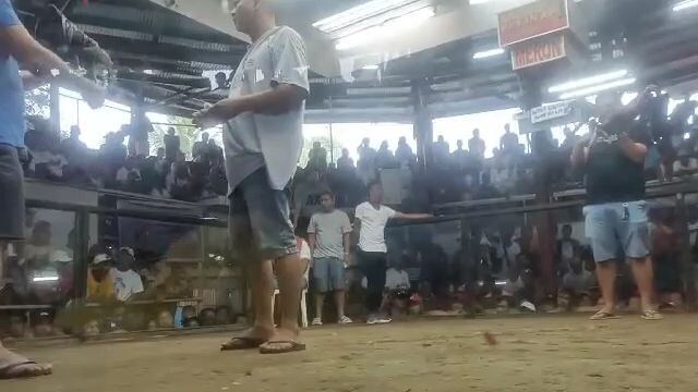 Win Hackfight Brownred kapatid din ng gold Winstreak ng mga kapatid.