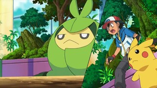 Pokemon Best Wishes tập 23: Thi đấu hội quán Hiun! Trận đấu Pokemon bọ thuần khiết!!