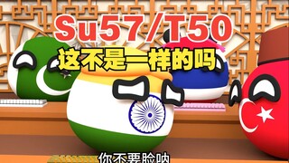 好眼熟啊，这不是一模一样吗？【波兰球】