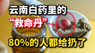 [Yunnan Baiyao] Banyak orang telah membuang "pil penyelamat hidup" ini sebagai pengering!