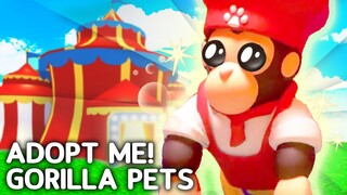 How To Get GORILLA Pet In Adopt Me Gorilla Fairground Update