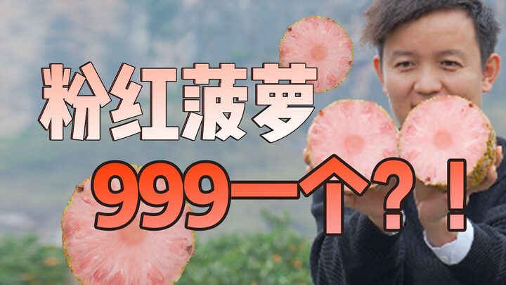 [Fruit Hunter x Hunter] What’s So Special About This Insanely Expensive Pink Pineapple?