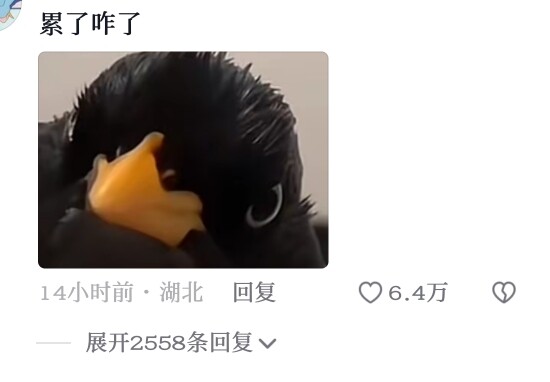 How did it grow to look just like Angry Birds…?