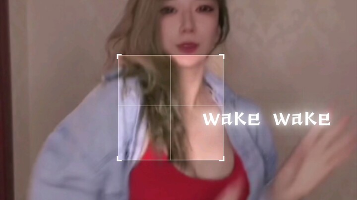 Wake Wake, the only song I remember from the World Cup was Shakira's