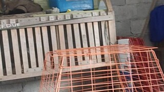 2nd fight LOSS wala po tayo naka vedio na lowbat cp natin mga iDoL pasenxia na