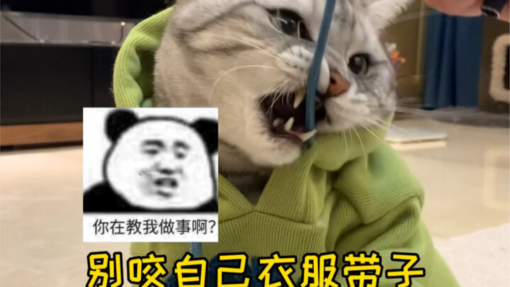 Hadiah dari An Sheng