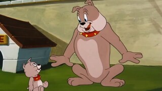 Tom and Jerry | Duo ayah dan the best child ever 6