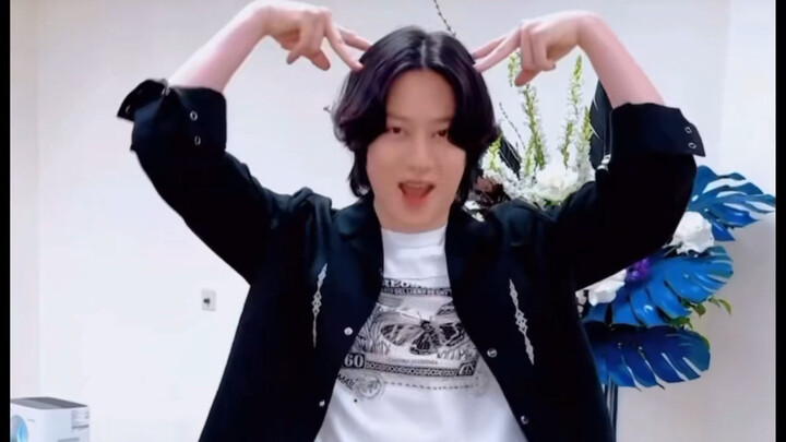 哈哈哈，还是cha了，冻结冰的汉江上有猫在走challenge朴正洙金希澈金钟云神童李赫宰李东海崔始源Ver.🫡