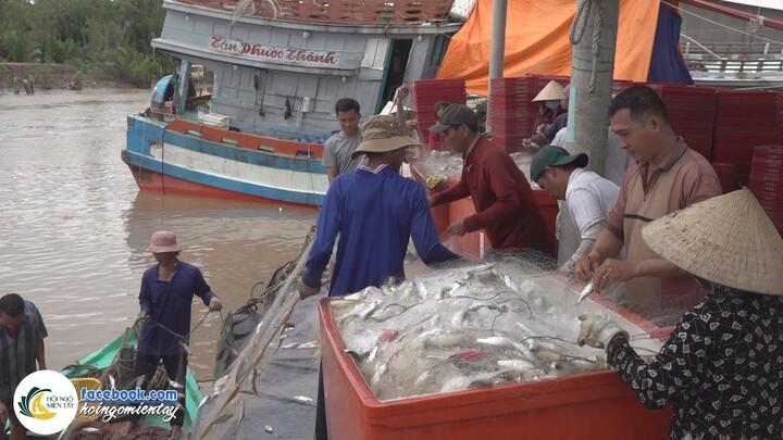 ĐI BIỂN TRÚNG NGAY "LUỒNG CÁ KẾN HƠN 1 TẤN" | Hội Ngộ Miền Tây - Tập 660