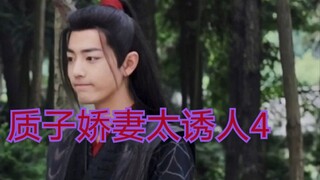 【剧版忘羡ABO】湛王的质子小娇妻4