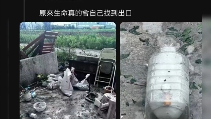 Hôm nay bạn cũng đã làm rất tốt rồi đấy, giờ thì nghỉ ngơi thật thoải mái nhé～
