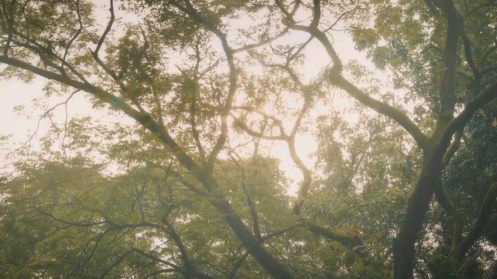 GSOT Golden Scenery of tomorrow Song Ginintuang Tanawin