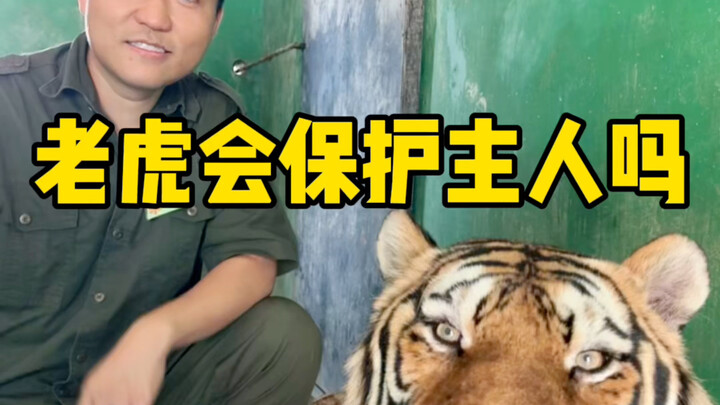 真正的寒心不是大吵大闹…