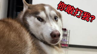 ماذا سيكون رد فعله إذا ضربته فجأة أثناء مداعبته؟