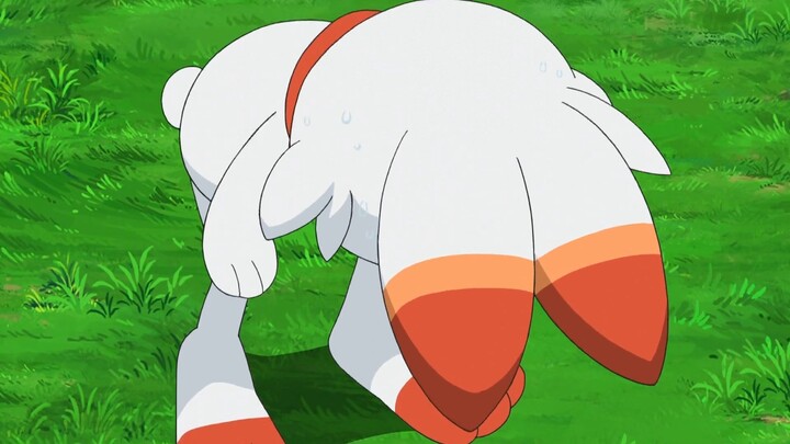 Pokemon EP.126