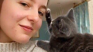 “Oh my heart! Cat and Owner are inseparable best friends”   😸 Cute Cat and Human are best friend