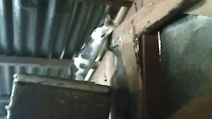 Rertas certas & is the best way 😱