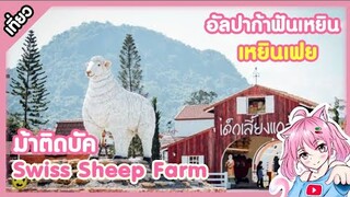 เมื่อผมเจอ ม้าติดบัค กับ อัลปาก้าฟันเหยิน !! Swiss Sheep Farm