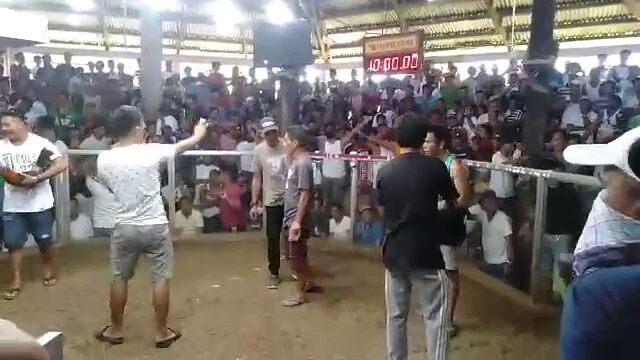 sayang isang tuka nalang panalo na sana nsobrang tibay nga kalaban